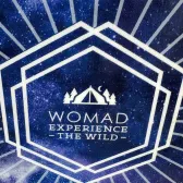 placa noua snowboard easy womad L145cm